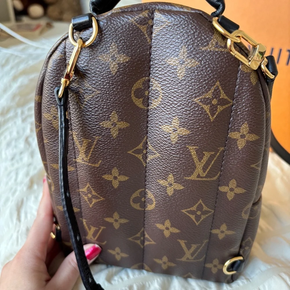 LV Palm Spring Mini - Picture 4 of 12